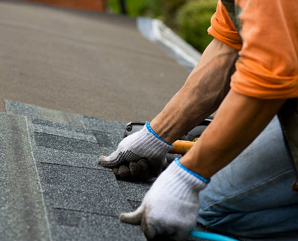 Best Roof Gutter Cleaning  in Stedman, NC